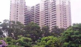 深圳石岩爆料事件最新情况,最新进展与调查动态揭晓