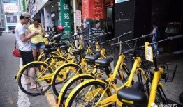 清远小黄车最新爆料信息,揭秘运营幕后真相与未来走向